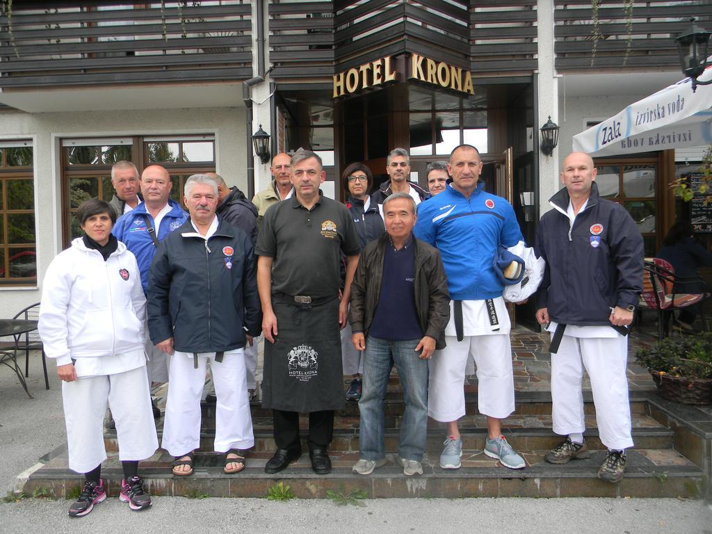 Hotel Krona Domžale Eksteriør billede